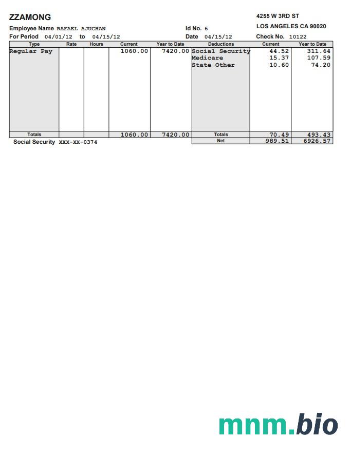 Zzamong company pay stub w formacie PDF i Word